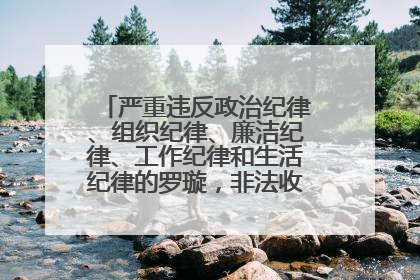 严重违反政治纪律、组织纪律、廉洁纪律、工作纪律和生活纪律的罗璇，非法收受他人巨额财物