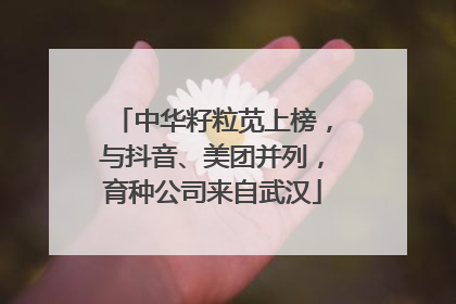 中华籽粒苋上榜，与抖音、美团并列，育种公司来自武汉