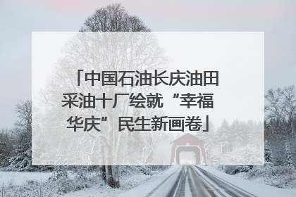 中国石油长庆油田采油十厂绘就“幸福华庆”民生新画卷