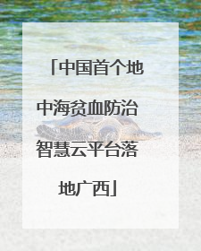 中国首个地中海贫血防治智慧云平台落地广西