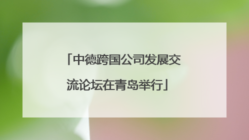 中德跨国公司发展交流论坛在青岛举行