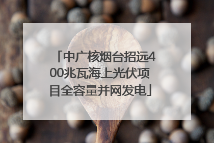 中广核烟台招远400兆瓦海上光伏项目全容量并网发电