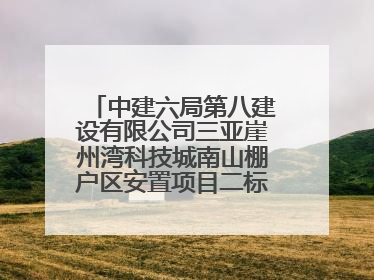 中建六局第八建设有限公司三亚崖州湾科技城南山棚户区安置项目二标段顺利通过第一次主体结构验收