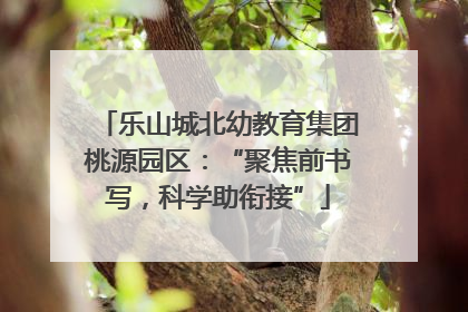 乐山城北幼教育集团桃源园区：“聚焦前书写，科学助衔接”