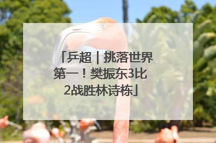 乒超｜挑落世界第一！樊振东3比2战胜林诗栋