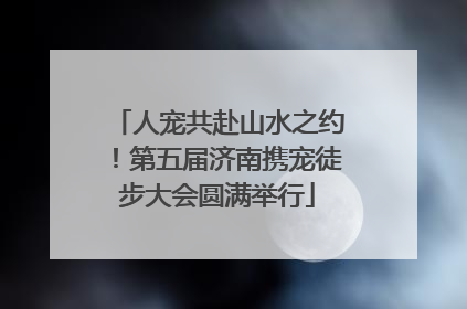 人宠共赴山水之约！第五届济南携宠徒步大会圆满举行