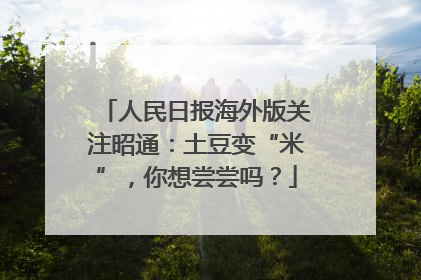 人民日报海外版关注昭通：土豆变“米”，你想尝尝吗？