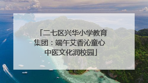 二七区兴华小学教育集团：端午艾香沁童心 中医文化润校园