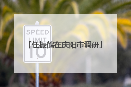 任振鹤在庆阳市调研