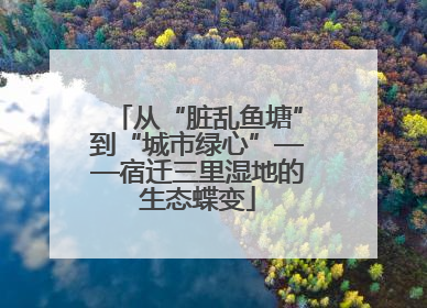 从“脏乱鱼塘”到“城市绿心”——宿迁三里湿地的生态蝶变