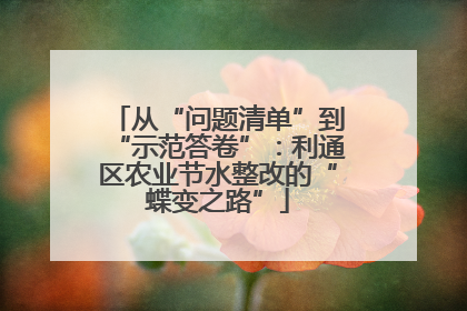 从“问题清单”到“示范答卷”：利通区农业节水整改的“蝶变之路”