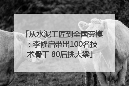 从水泥工匠到全国劳模：李修启带出100名技术骨干 80后挑大梁
