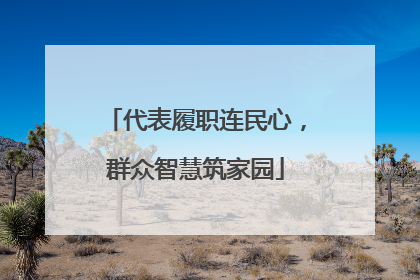 代表履职连民心，群众智慧筑家园