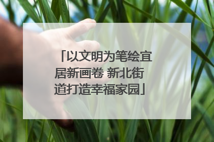 以文明为笔绘宜居新画卷 新北街道打造幸福家园