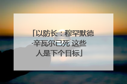 以防长：穆罕默德·辛瓦尔已死 这些人是下个目标
