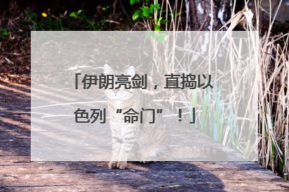 伊朗亮剑，直捣以色列“命门”！