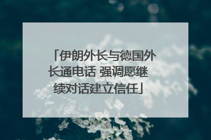 伊朗外长与德国外长通电话 强调愿继续对话建立信任