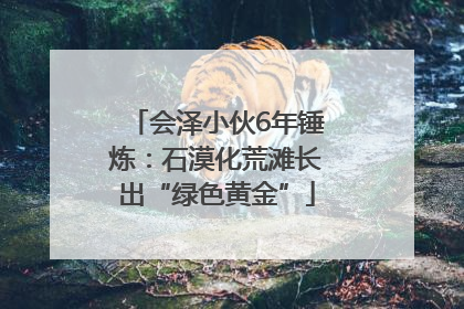 会泽小伙6年锤炼：石漠化荒滩长出“绿色黄金”