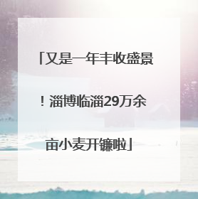 又是一年丰收盛景！淄博临淄29万余亩小麦开镰啦