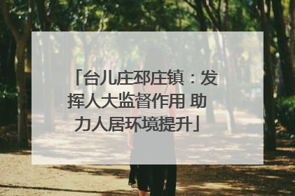 台儿庄邳庄镇：发挥人大监督作用 助力人居环境提升