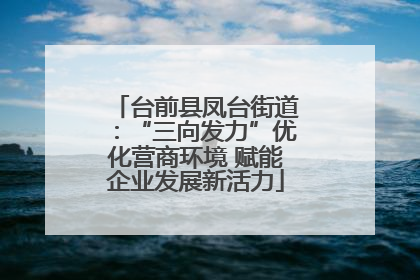 台前县凤台街道：“三向发力”优化营商环境 赋能企业发展新活力