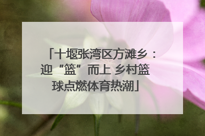 十堰张湾区方滩乡：迎“篮”而上 乡村篮球点燃体育热潮