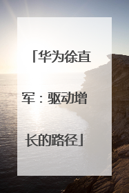 华为徐直军：驱动增长的路径