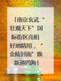 南京玄武“壮观天下”国际街区亮相 好地精用，“金陵封面”焕新通四海