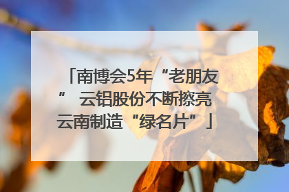 南博会5年“老朋友” 云铝股份不断擦亮云南制造“绿名片”