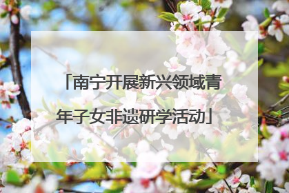 南宁开展新兴领域青年子女非遗研学活动
