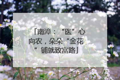 南漳：“医”心向农，朵朵“金花”铺就致富路