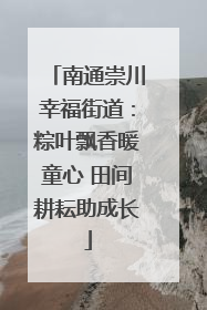 南通崇川幸福街道：粽叶飘香暖童心 田间耕耘助成长