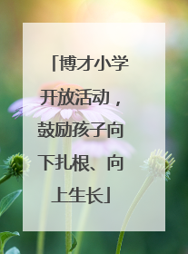 博才小学开放活动，鼓励孩子向下扎根、向上生长