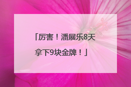 厉害！潘展乐8天拿下9块金牌！