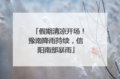 假期清凉开场！豫南降雨持续，信阳南部暴雨