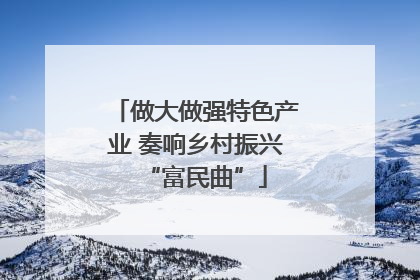 做大做强特色产业 奏响乡村振兴“富民曲”