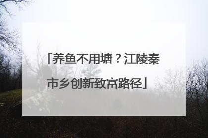 养鱼不用塘？江陵秦市乡创新致富路径