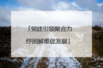 党建引领聚合力 纾困解难促发展