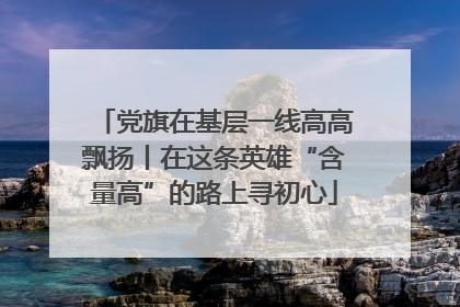 党旗在基层一线高高飘扬丨在这条英雄“含量高”的路上寻初心