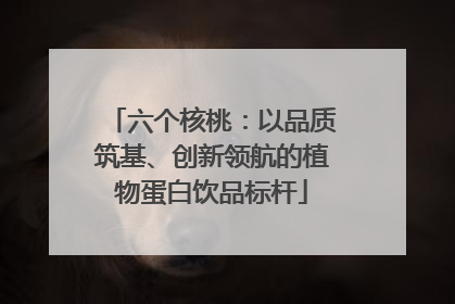 六个核桃：以品质筑基、创新领航的植物蛋白饮品标杆