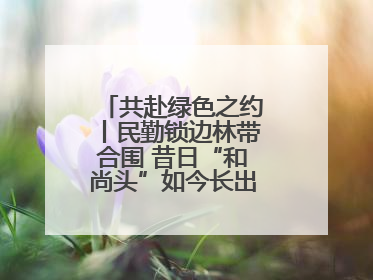 共赴绿色之约丨民勤锁边林带合围 昔日“和尚头”如今长出了“披肩发”