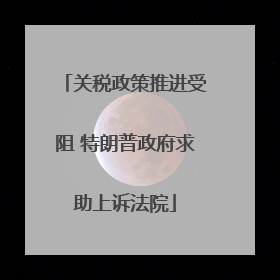 关税政策推进受阻 特朗普政府求助上诉法院