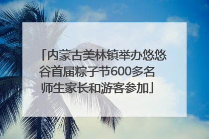 内蒙古美林镇举办悠悠谷首届粽子节600多名师生家长和游客参加