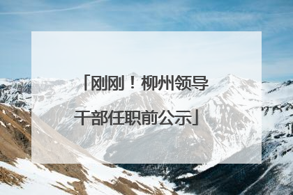 刚刚！柳州领导干部任职前公示