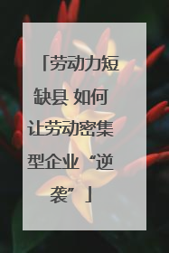 劳动力短缺县 如何让劳动密集型企业“逆袭”