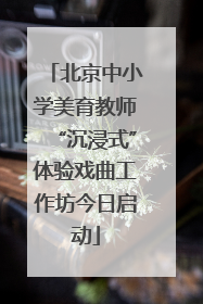 北京中小学美育教师“沉浸式”体验戏曲工作坊今日启动