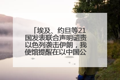 埃及、约旦等21国发表联合声明谴责以色列袭击伊朗，我使馆提醒在以中国公民尽快陆路离境