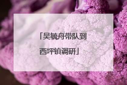 吴毓舟带队到西坪镇调研