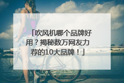 吹风机哪个品牌好用？揭秘数万网友力荐的10大品牌！