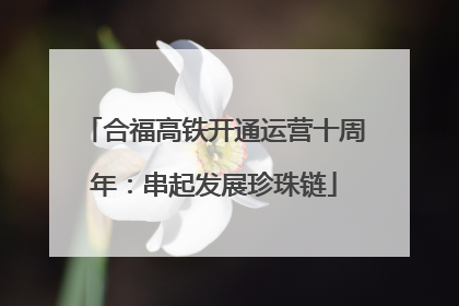 合福高铁开通运营十周年：串起发展珍珠链